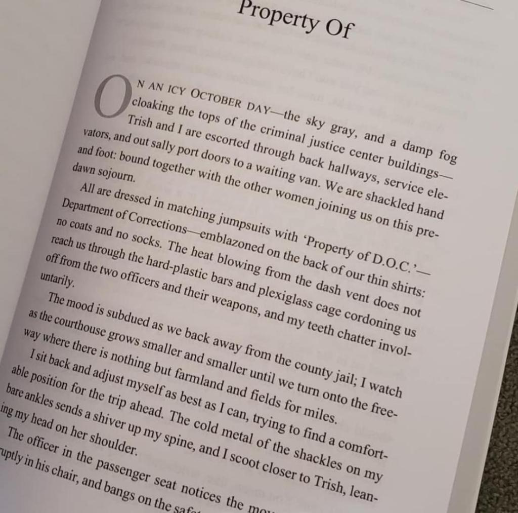 Book Snippet